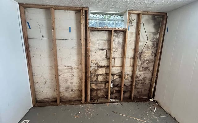 Mold remediation specialists performing professional mold removal and containment